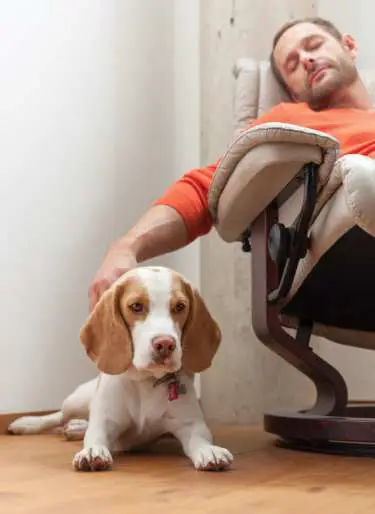 Honeywell-evohome-Smart-Thermostat-01