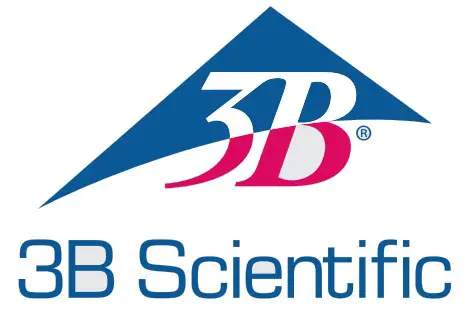 3B Scientific
