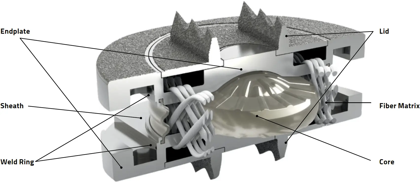 M6-L Artificial Lumbar Disc