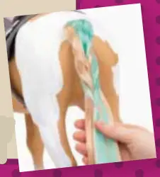 our generation BD38030Z Palomino Paint Horse 20 Inch Hair Play Horse - Step 6