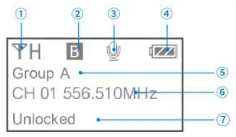 Saramonic SR-UwMic9S mini UHF Wireless Microphone System - disply