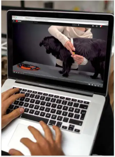 JK9 B01J5RB4ZS IDC Powerharness Dog Harness - Fig 1