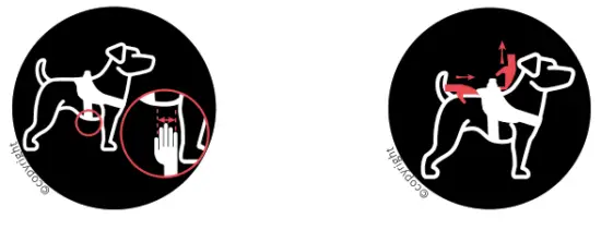 JK9 B01J5RB4ZS IDC Powerharness Dog Harness - Fig 4