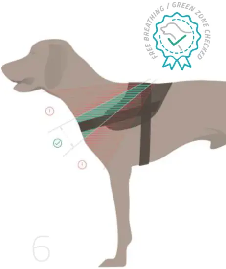 JK9 B01J5RB4ZS IDC Powerharness Dog Harness - Fig 5