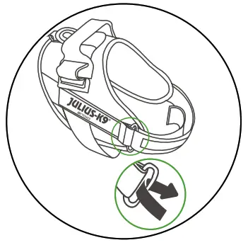 JK9 B01J5RB4ZS IDC Powerharness Dog Harness - being worn