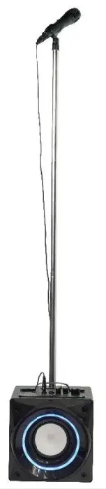 PROSCAN PKAR305 Bluetooth Speaker with Karaoke