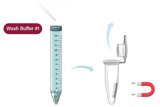 GALENVS WW0016-12 Wastewater DNA and RNA Extraction Kit - fig3