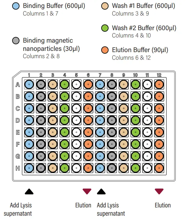 GALENVS WW0016-12 Wastewater DNA and RNA Extraction Kit