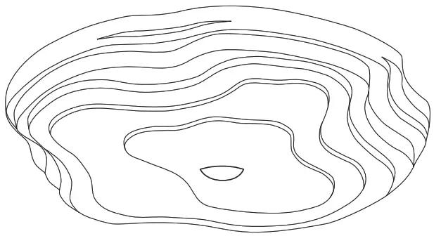 INNOLUX Laguna Pauli Partanen Lamp