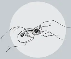 Change of blades with a click