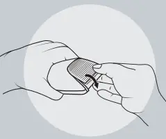 Change of blades with a click