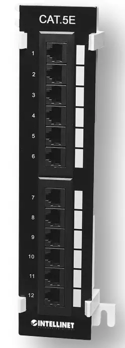 INTELLINET 162470 Cat5e Wall-mount Patch Panel