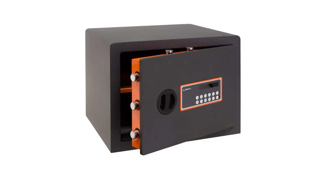 Arregui Plus C Electronic Plus Knob Instruction Manual Arregui Plus C Electronic Plus Knob Instruction Manual