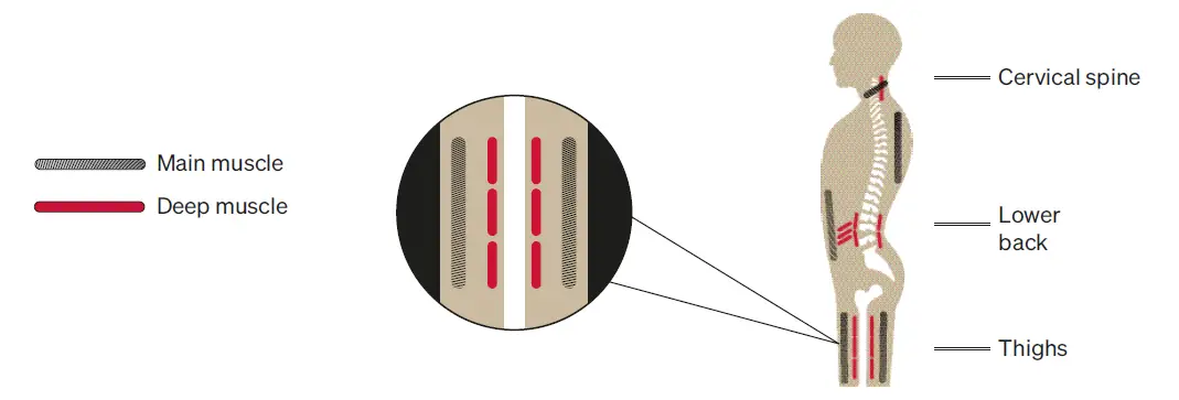 SPORTSTECH-VP500-Vibration-Plate-FIG- (11)