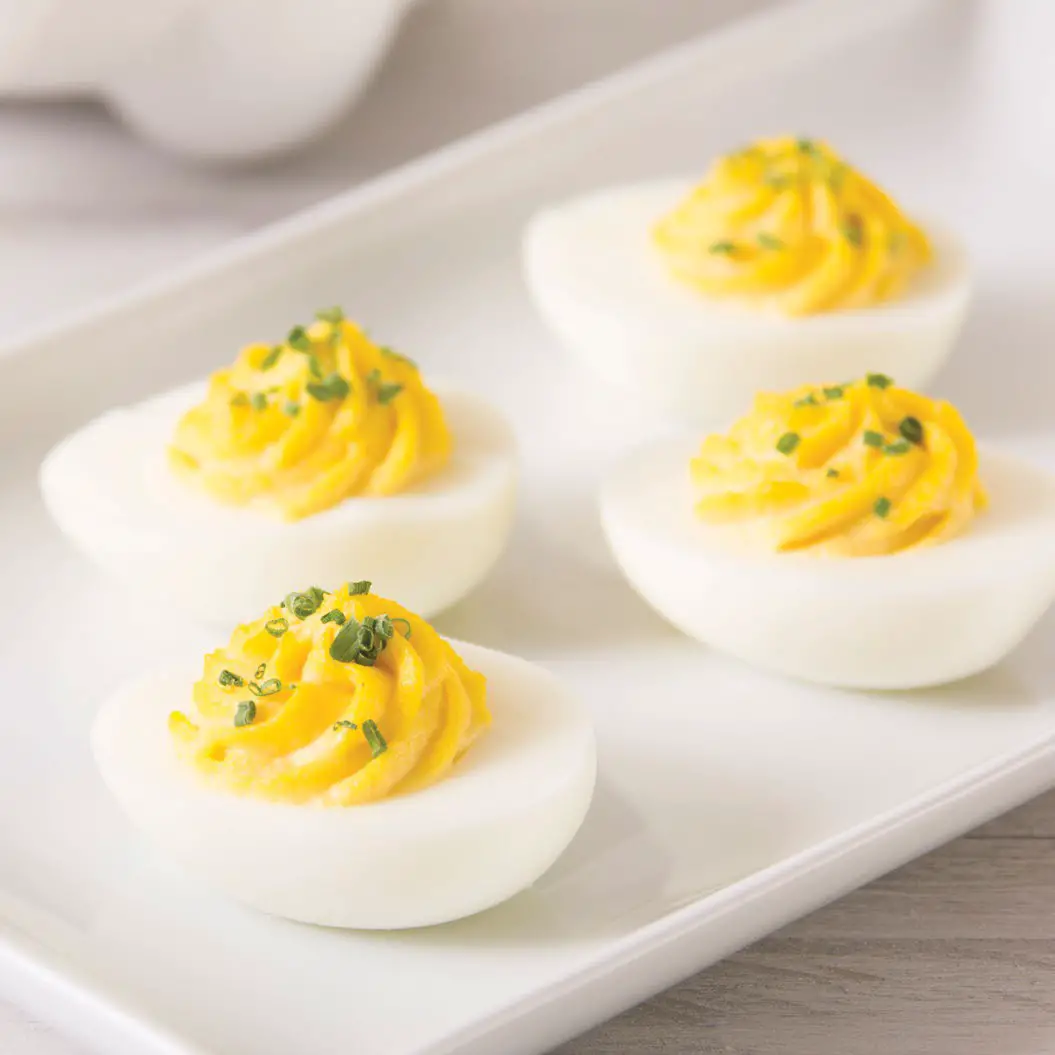 DASH DELUXE Express EGG COOKER K50780 - Directions