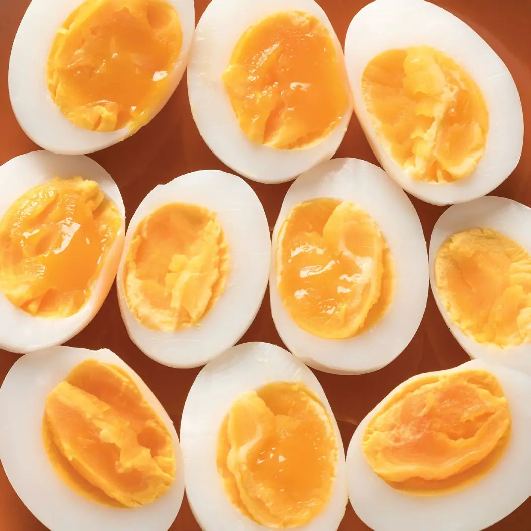 DASH DELUXE Express EGG COOKER K50780 - TROUBLESHOOTING