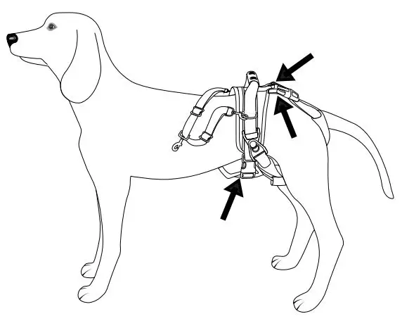 frisco better pet goods Rear Lift Support Dog Harness - 2