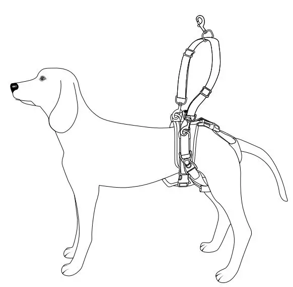 frisco better pet goods Rear Lift Support Dog Harness - 3