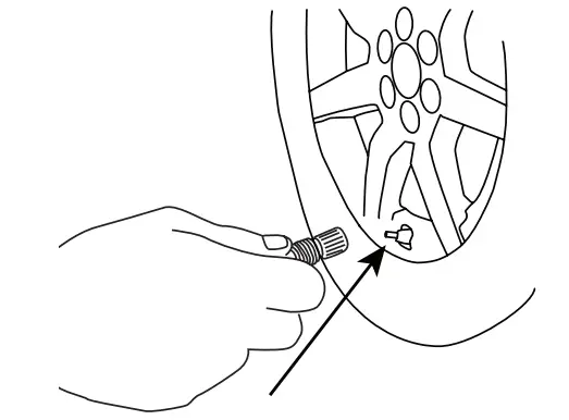 BLAUPUNKT TIF 40 Tire Inflator and Vacuum Cleaner - socket 2