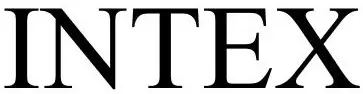 INTEX logo