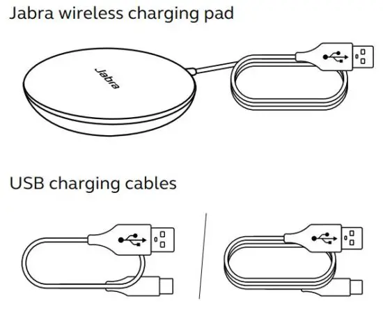 FIG 31 Replacement accessories