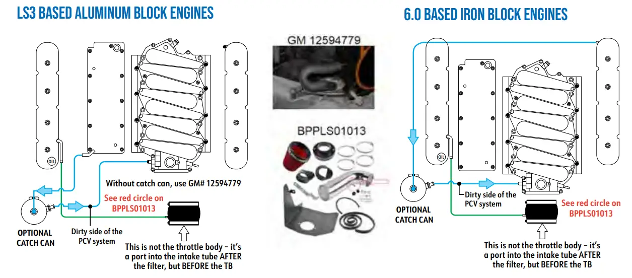 BluePrint 376CI LS Engine 6