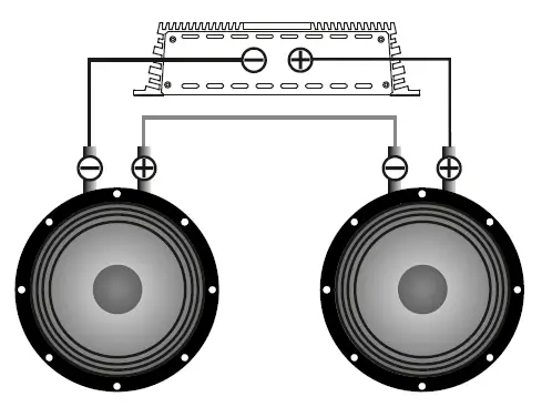 ALPHARD-AP-M81АС-Mid-Range-Speakers-fig1