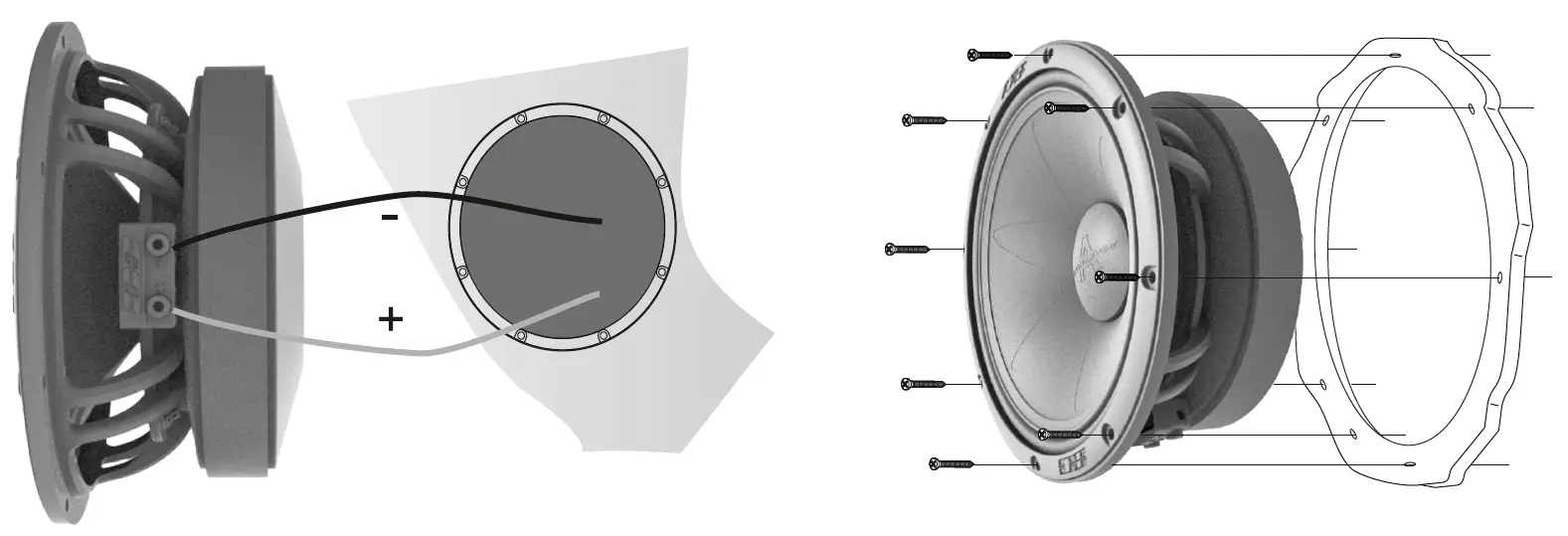 ALPHARD-AP-M81АС-Mid-Range-Speakers-fig12