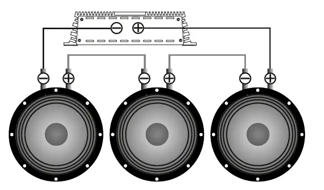 ALPHARD-AP-M81АС-Mid-Range-Speakers-fig2