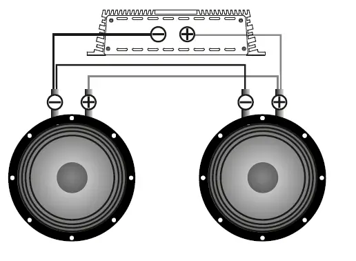 ALPHARD-AP-M81АС-Mid-Range-Speakers-fig4