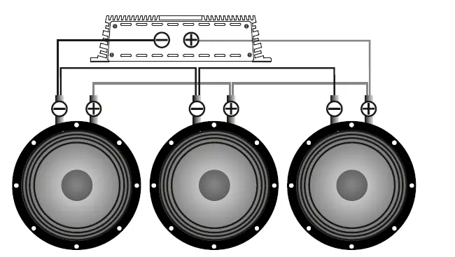 ALPHARD-AP-M81АС-Mid-Range-Speakers-fig5