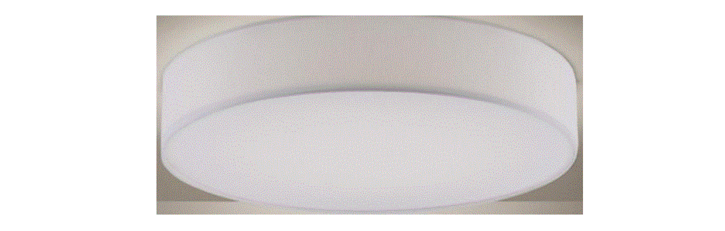 Paul Neuhaus 15110 Ceiling Light Instruction Manual