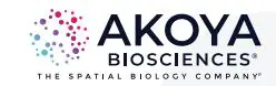 AKOYA logo