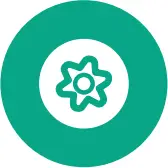 ALC AWF53 - Motion Recording Icon