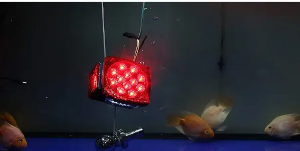 CZC-AUTO-8542079007-12V-LED-Trailer-Tail-Light-Kit-fig-1