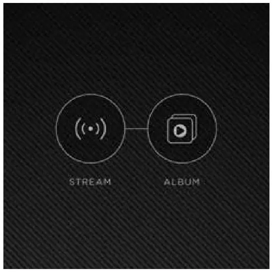 Gold Light Toys Factory JG2021N24GR Video Streaming -After Connecting