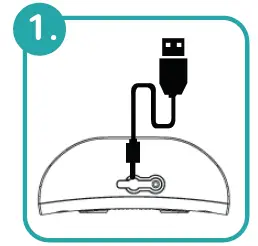 AntiFury Woof Guard Anti Bark Collar-3