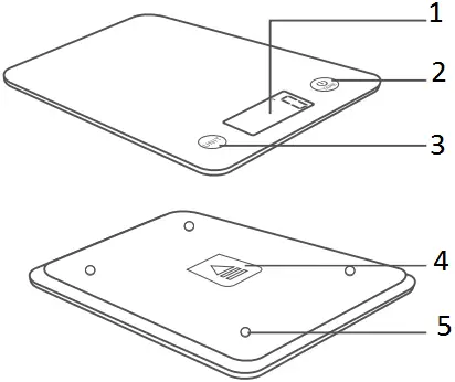 Guangdong Welland Technology Electronic Kitchen Scale A01