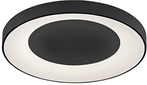 Paul-Neuhaus-14327-LED-Ceiling-Light-PRODUCT