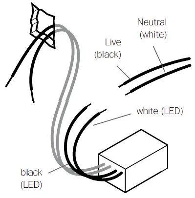 I 84s/sp Brass Outdoor Ceiling/Wall Description