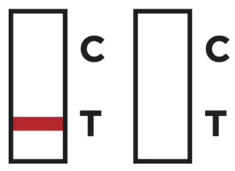 FaStep COV-S23010H1 COVID-19 Antigen Home Test - Figure 18