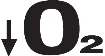 DeVilbiss 525 Series 5-Liter Oxygen Concentrator 26