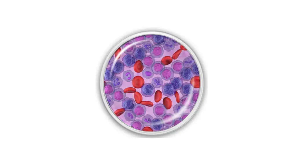 Cytek Doc-00492 20-color Aml Panel User Guide Cytek Doc-00492 20-color Aml Panel User Guide