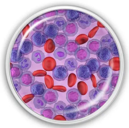 CYTEK DOC 00492 20 Color AML Panel