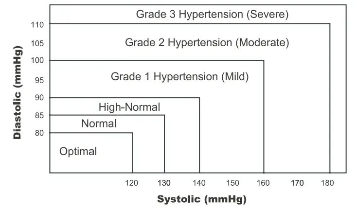 LUMISCOPE 1137 Blood Pressure Monitor Automatic Arm Type - classification