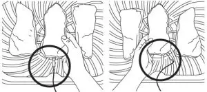 NINJA AG551UK Health Grill and Air Fryer - placement