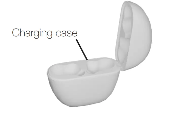 ZVOX AccuVoice AV30 True Wireless Earbuds with Active Noise Cancellation - Charging case