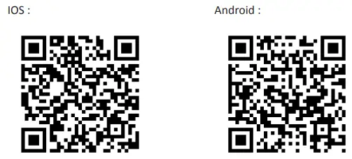 Brook 202001225V2 Auto Catch Watch Wristband-fig2