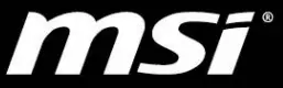 MSI Logo