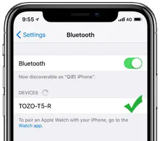 TOZO NC7 TWS ANC Earbuds pairing name